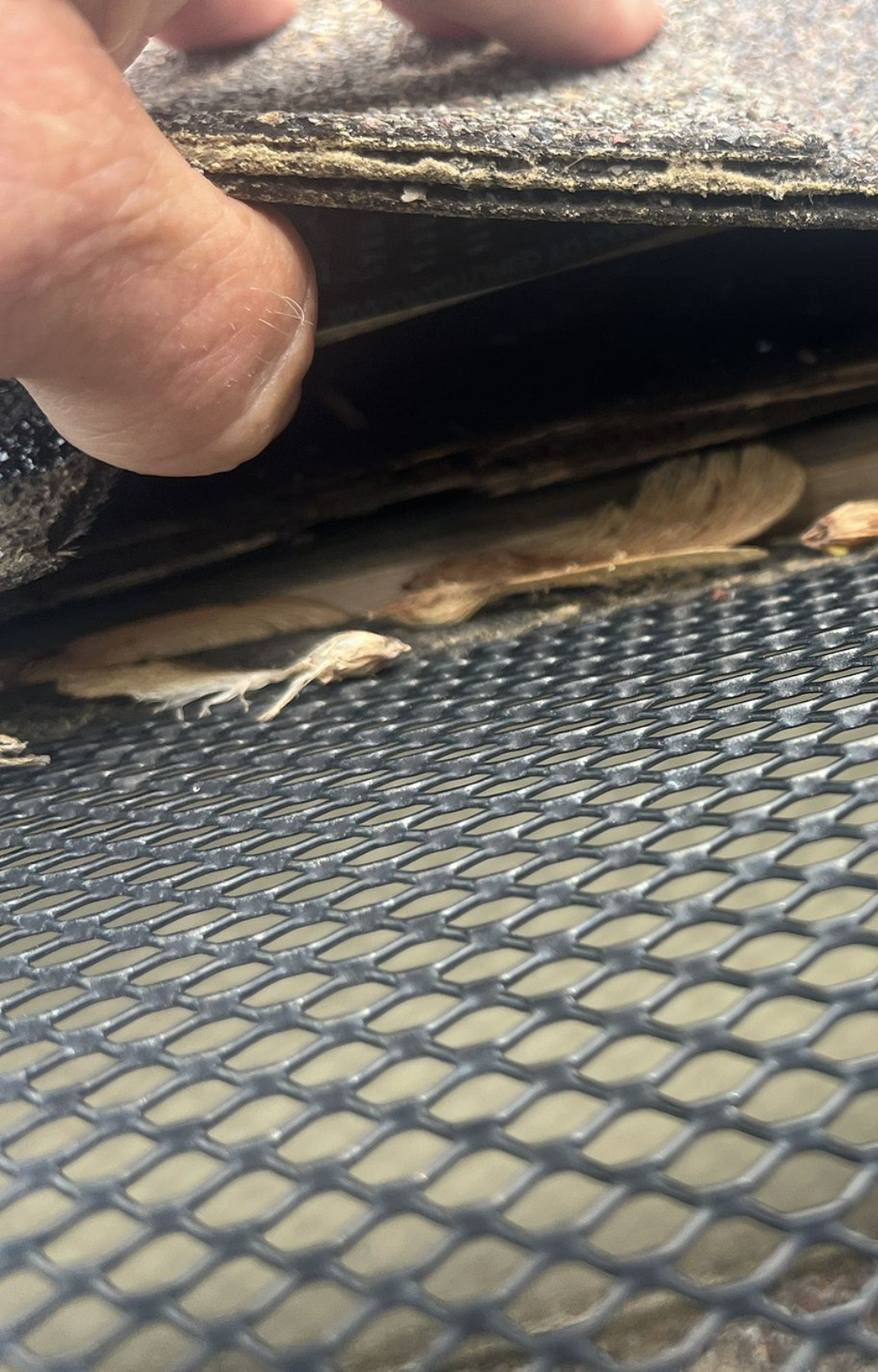 Roofing Company in Hillsboro, MO