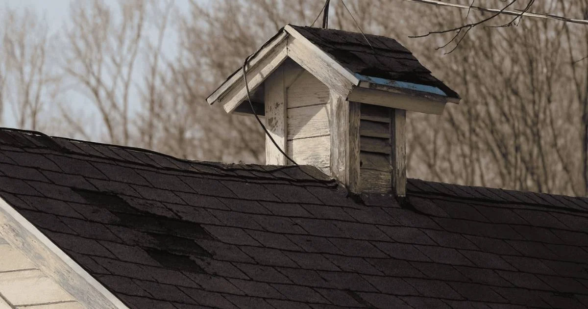 Identifying Roof Leak Signs