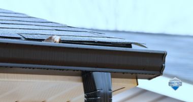 Gutter Installation & Gutter Guards