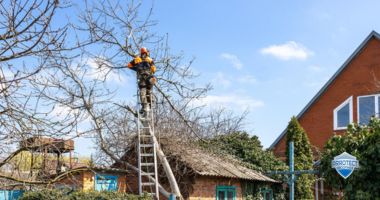 Storm Damage Restoration