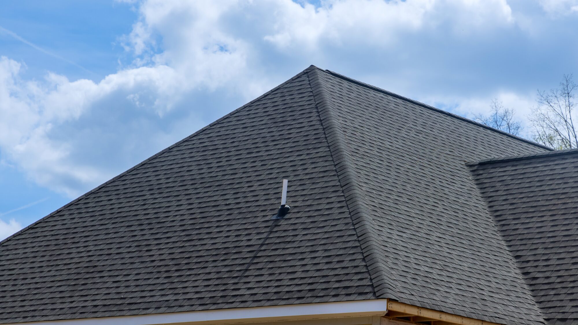 Asphalt Shingle Roof