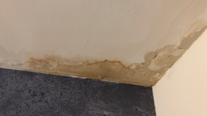 Blogs 4 roof leak prevention