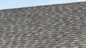 Blogs 3 roof algae prevention