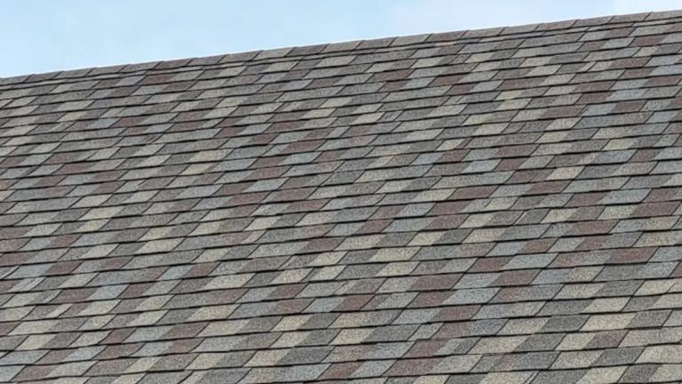 roof algae prevention