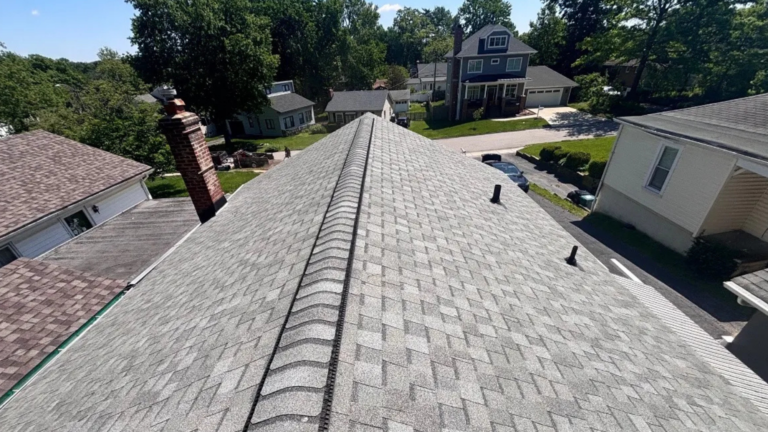 Roof Ponding Water